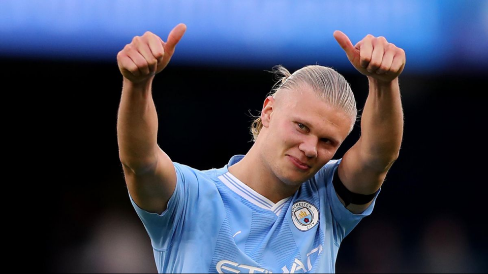 Erling Haaland's stats in the UEFA Champions League