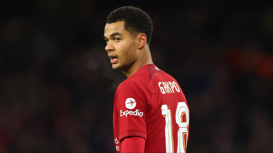 Has Cody Gakpo been a success at Liverpool?