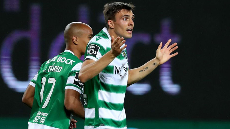 What will Joao Palhinha bring to Fulham?